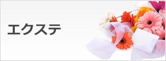 エクステ一覧